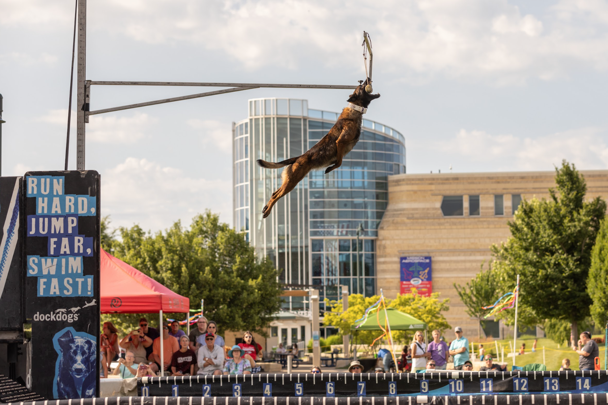 DockDogs Make a Splash at 2025 Camden Horse & Hound Expo