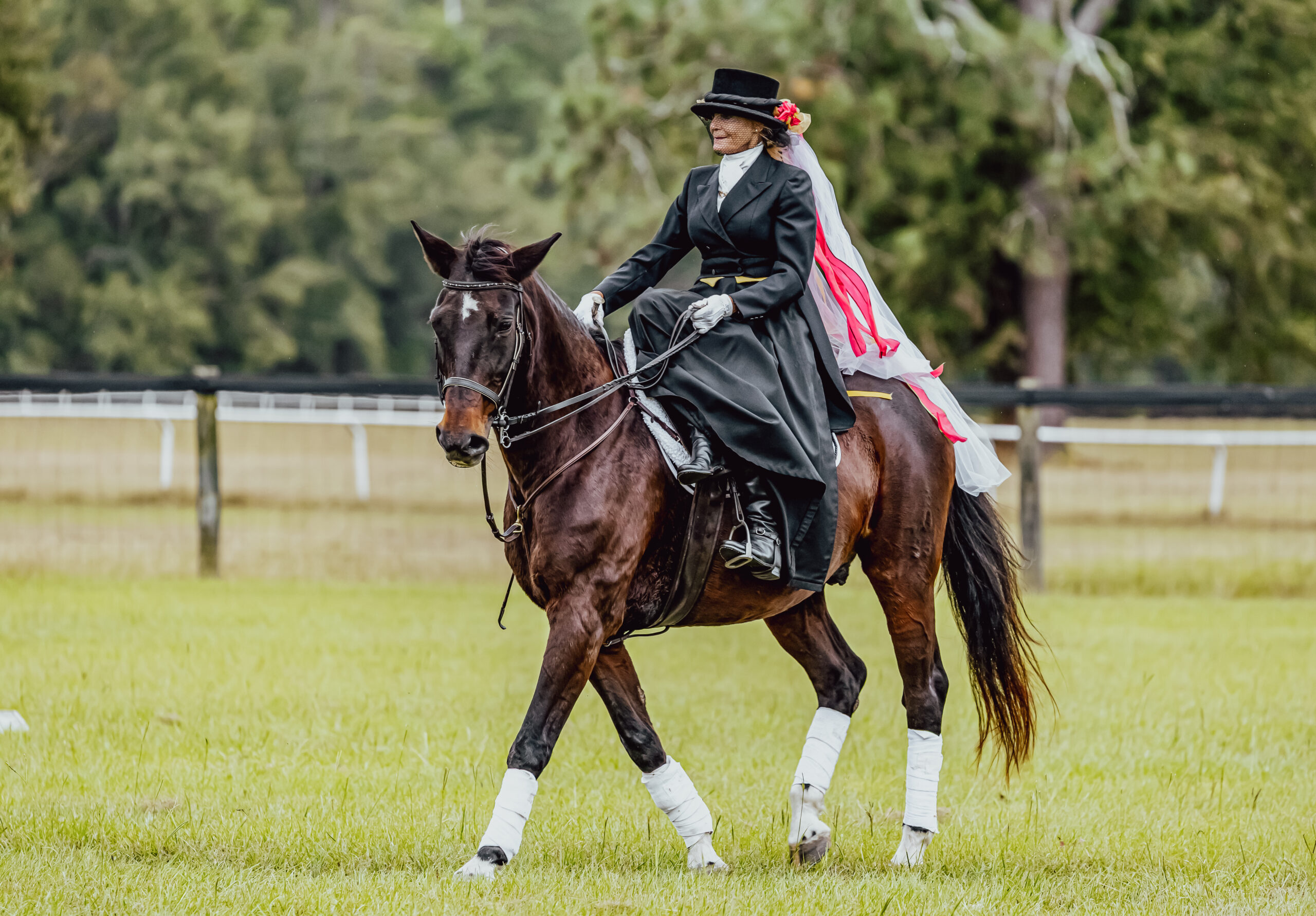 The Camden Horse & Hound Expo