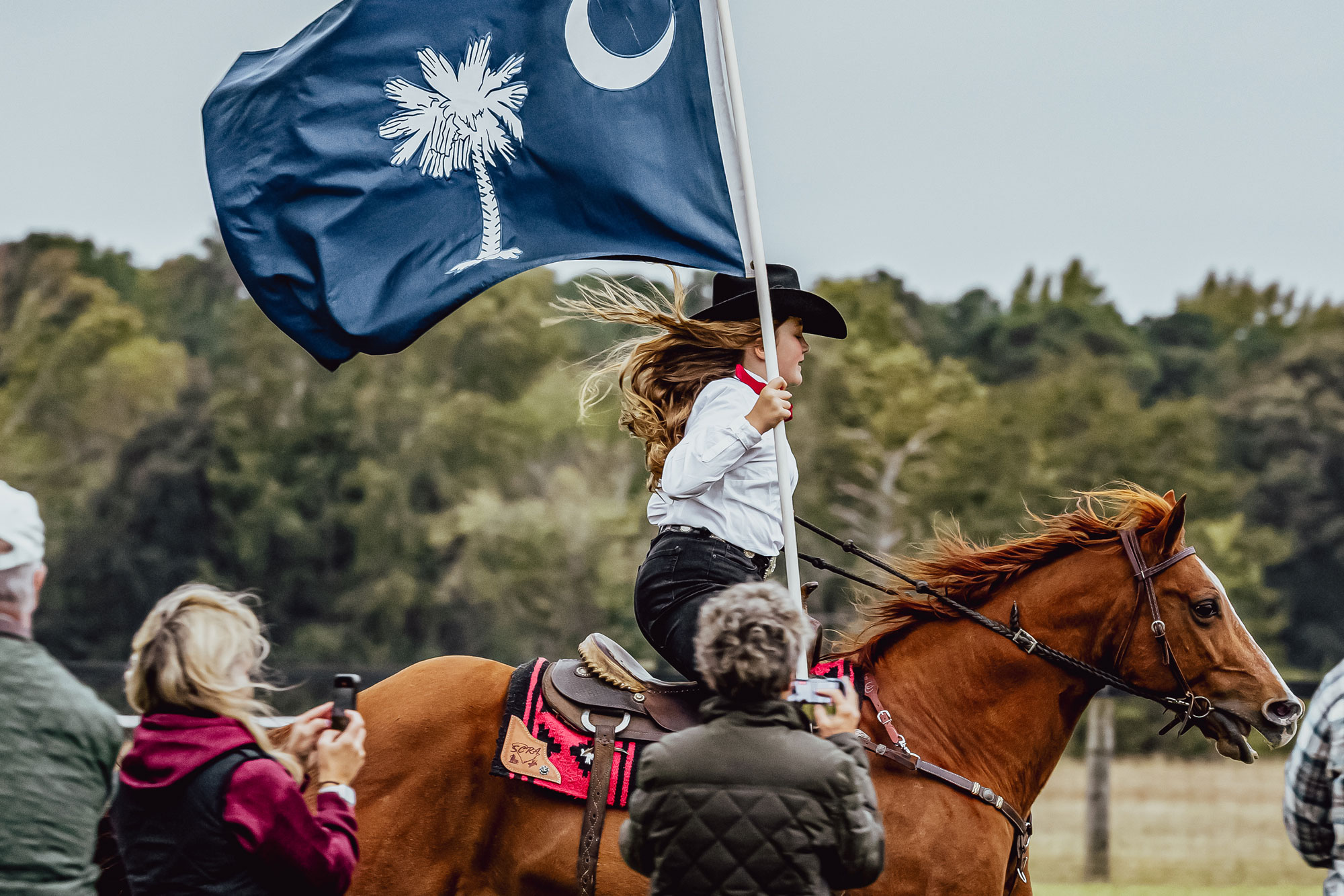 The Camden Horse & Hound Expo