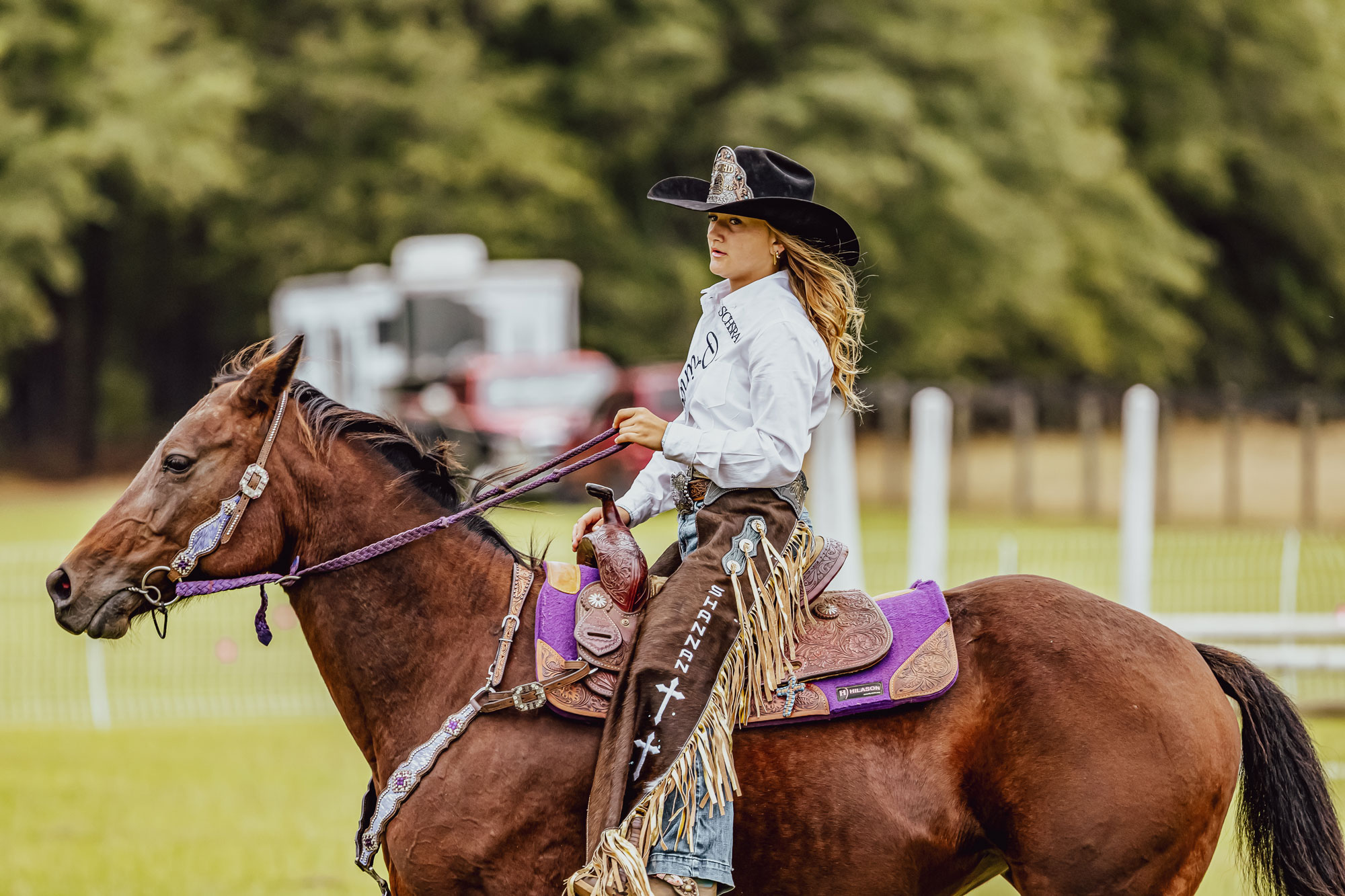 The Camden Horse & Hound Expo